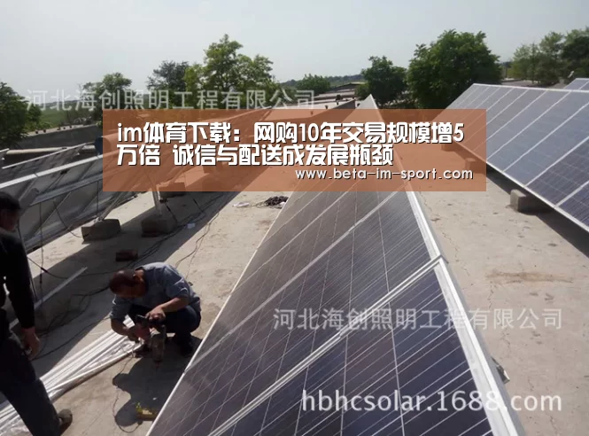 im体育下载:网购10年交易规模增5万倍 诚信与配送成发展瓶颈(图1) im体育网页版
