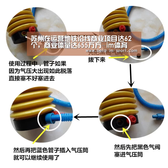im体育下载