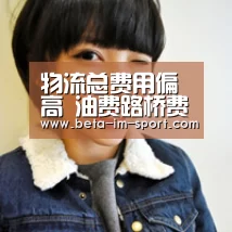 物流总费用偏高 油费路桥费占3成‘im体育’(图2) im体育网页版