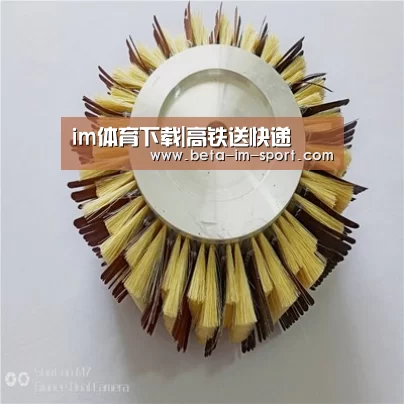 im体育下载|高铁送快递